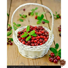 Брусника сублимация, целые ягоды, 1 кг.