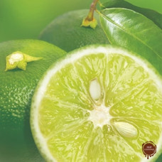 Замороженное пюре Судачи в блоке Ravifruit, 1 кг.